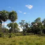 Chaco : Découvrez la vallée du Chaco, un paradis sur terre au Paraguay