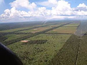 Des terres d'agricultures à Chaco au Paraguay