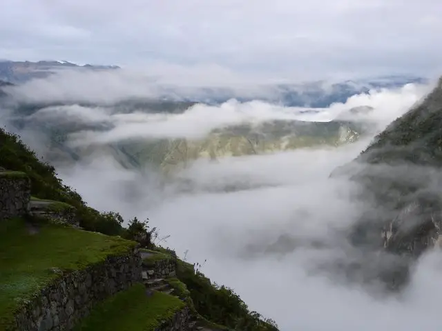 La forêt des nuages au Pérou 