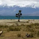 Le projet de construction de 5 barrages en Patagonie chilienne est lancé