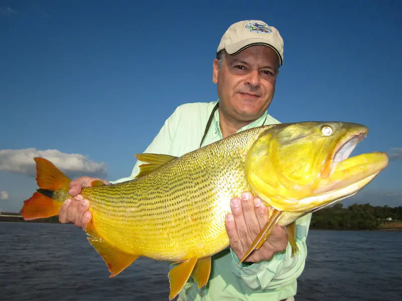 Activivité à faire au barrage Salto Grande : la pêche au dorado