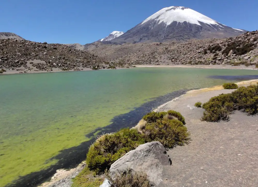 Découvrez le Parc national Lauca au Chili