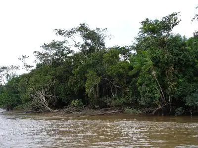 Amazonie sauvée par les cosmétiques Natura