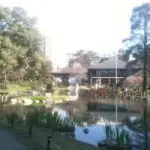 Jardin japonais buenos Aires : Découvrez le magnifique jardin japonais de Buenos Aires