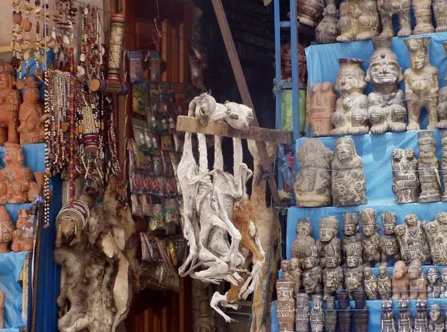 Le mercado de las brujas, un incontournable à La Paz, Bolivie