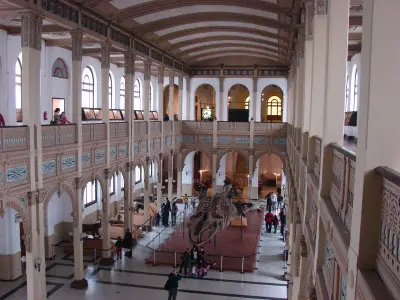 Musées de Santiago : zoom sur les musées de Santiago au Chili