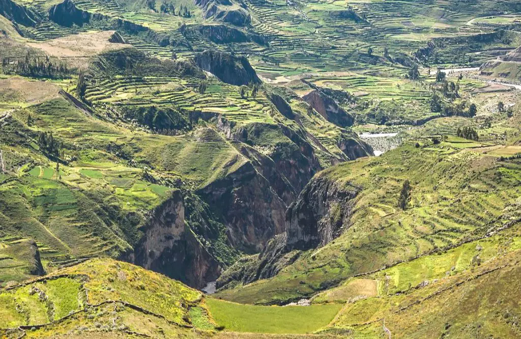Le Canyon de Colca, un incontournable en Amérique du Sud
