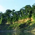 Parc national de Manu : Visiter le parc national de Manu au Pérou