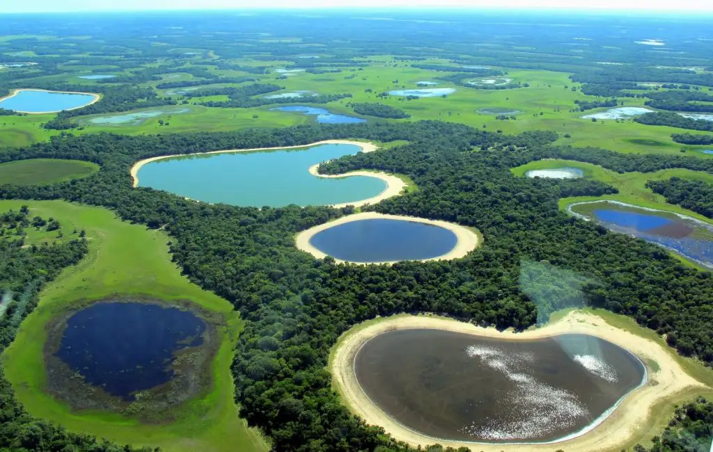 Le Pantanal au Brésil, un site incontournable en Amérique du Sud