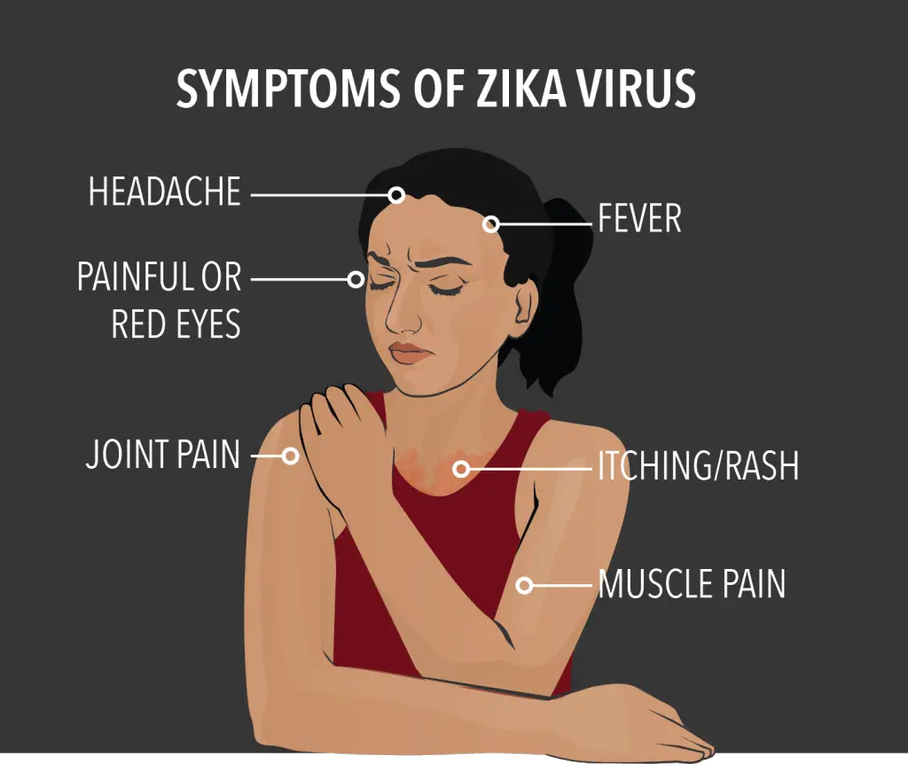 Symptomes de Zika