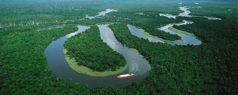 - La Réserve Nationale Allpahuayo Mishana à Iquitos