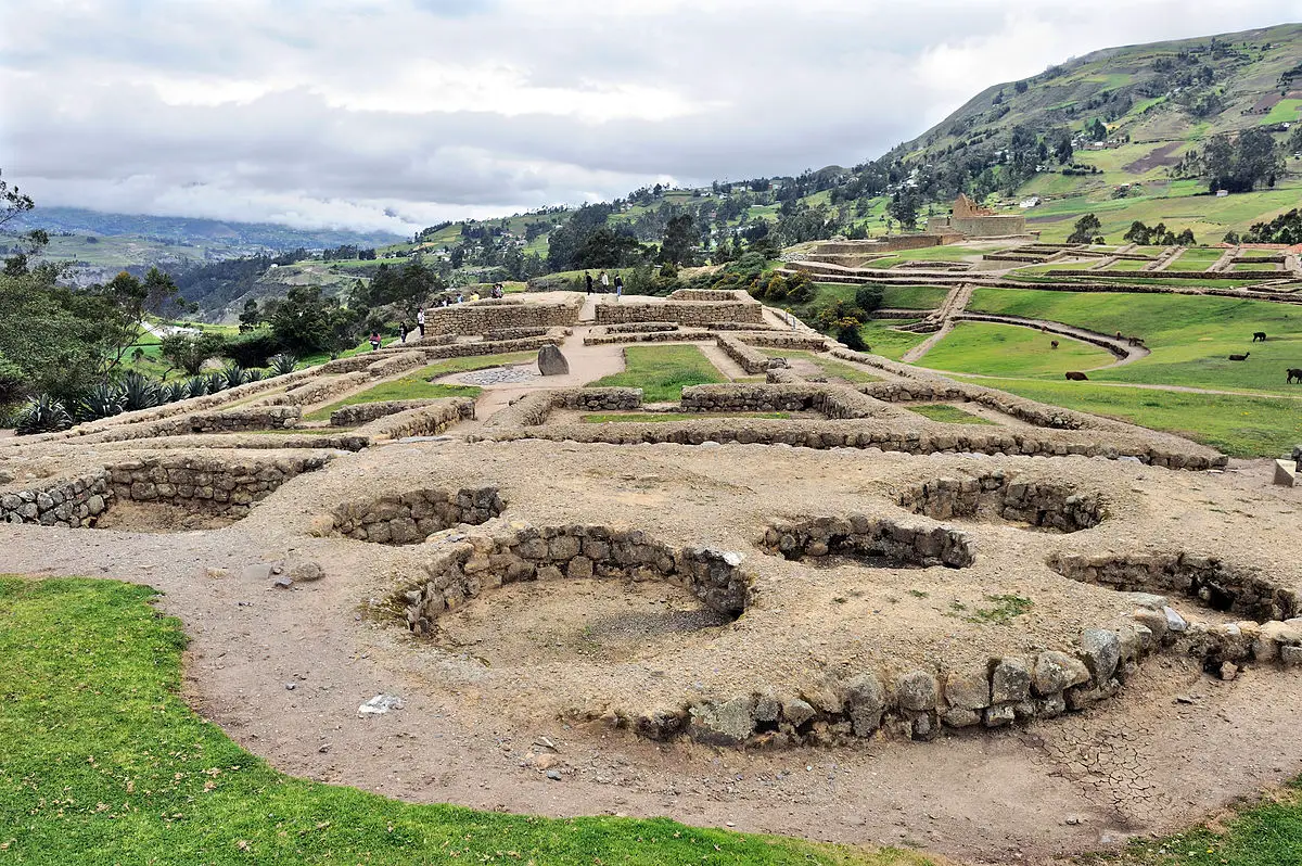Canari-Inca