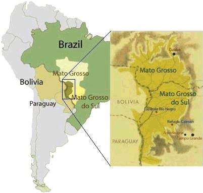 Pantanal-Brésil