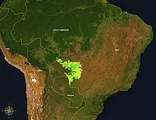 Pantanal : le trésor vert brésilien