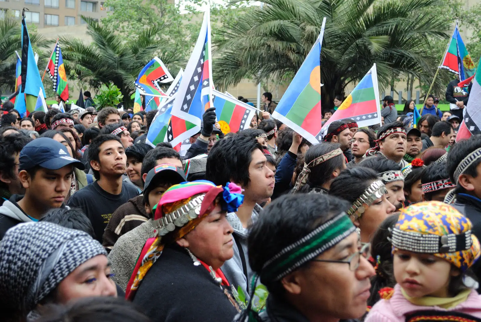 Les Mapuches du Chili