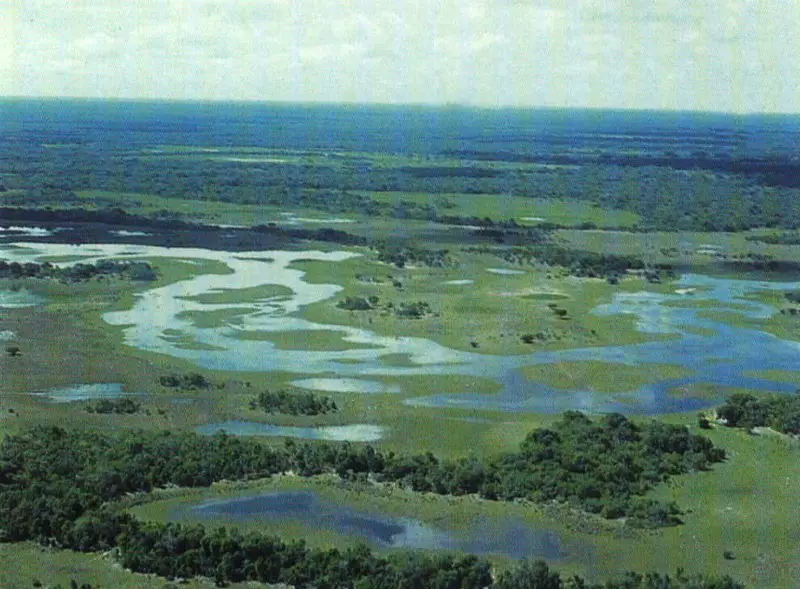 Le Pantanal, est une zone menacée