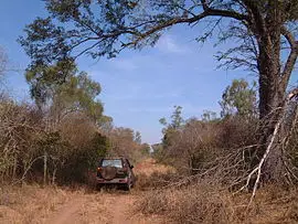 Gran Chaco au Paraguay, une menace de disparition dans une trentaine d’année