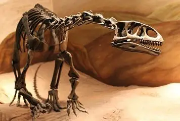 Un dinosaure découvert en Patagonie