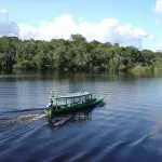 Le fleuve Amazone atteint un niveau record dans la région de Manaus au Brésil