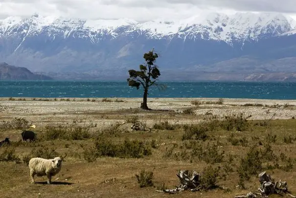 Un projet de construction de barrages est lancé en Patagonie chilienne