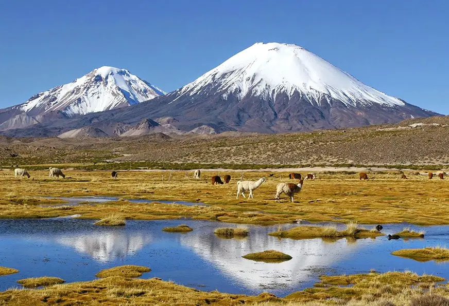 Découvrez le parc national Lauca au Chili