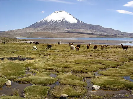 Parc national Lauca : découvrez le Joyau de l’Altiplano au Chili