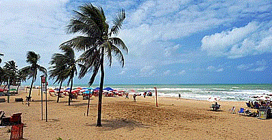 Les plages de Recife menacées par les requins