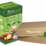 Sucvia, un édulcorant à base de la plante paraguayenne Stevia conquit l’Europe
