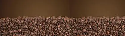 L’Amérique du Sud continue à tirer la production mondiale de café
