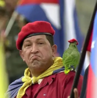 Qu en est-il de l état de santé de Chavez ? l opposition vénézuélienne s interroge