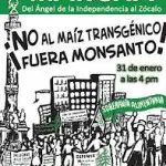 Mexique, grande marche contre le maïs transgénique