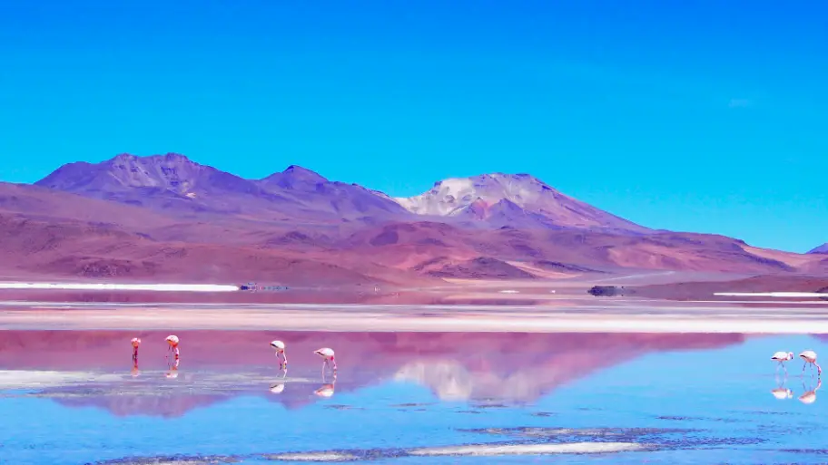 Découvrez le Salar d'Uyuni en Bolivie