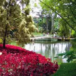 Le parc Inhotim : un jardin fabuleux à Belo Horizonte