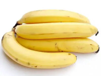 Inquiétude dans la filière bananière : la maladie de Panama est de retour