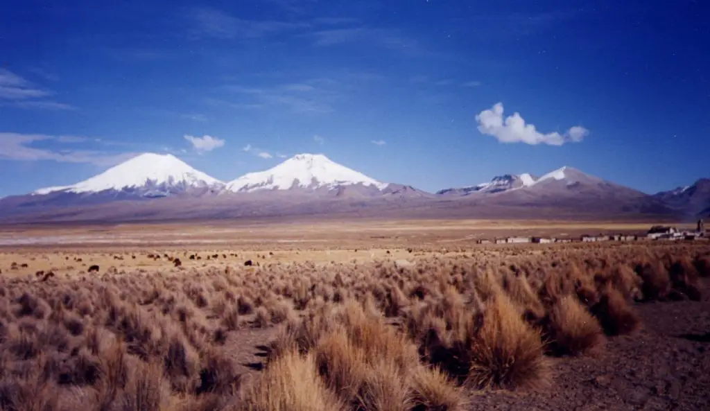 Partez à la découverte du Parc Sajama en Bolivie