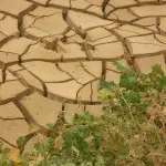 La sécheresse fait des ravages en Amérique centrale