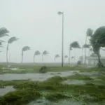 Après l’ouragan Odile, Los Cabos veut récupérer des touristes