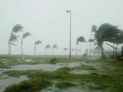 Après l’ouragan Odile, Los Cabos veut récupérer des touristes