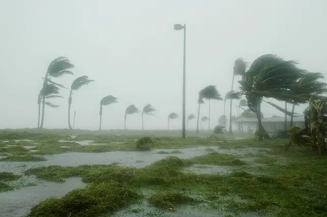 ouragan Odile
