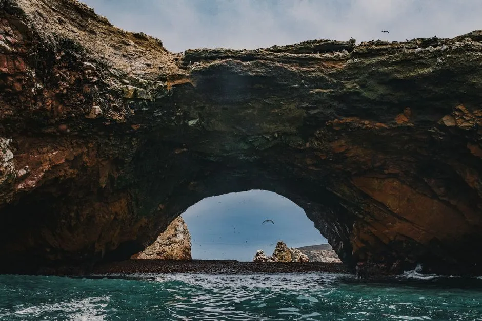 La richesse des Iles Ballestas