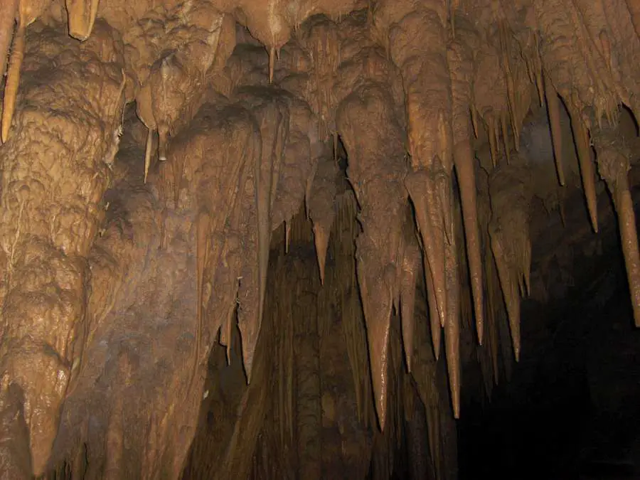Grotte de Guacharo