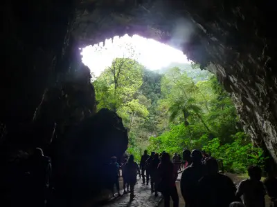 Le parc national Cueva del Guácharo au Venezuela