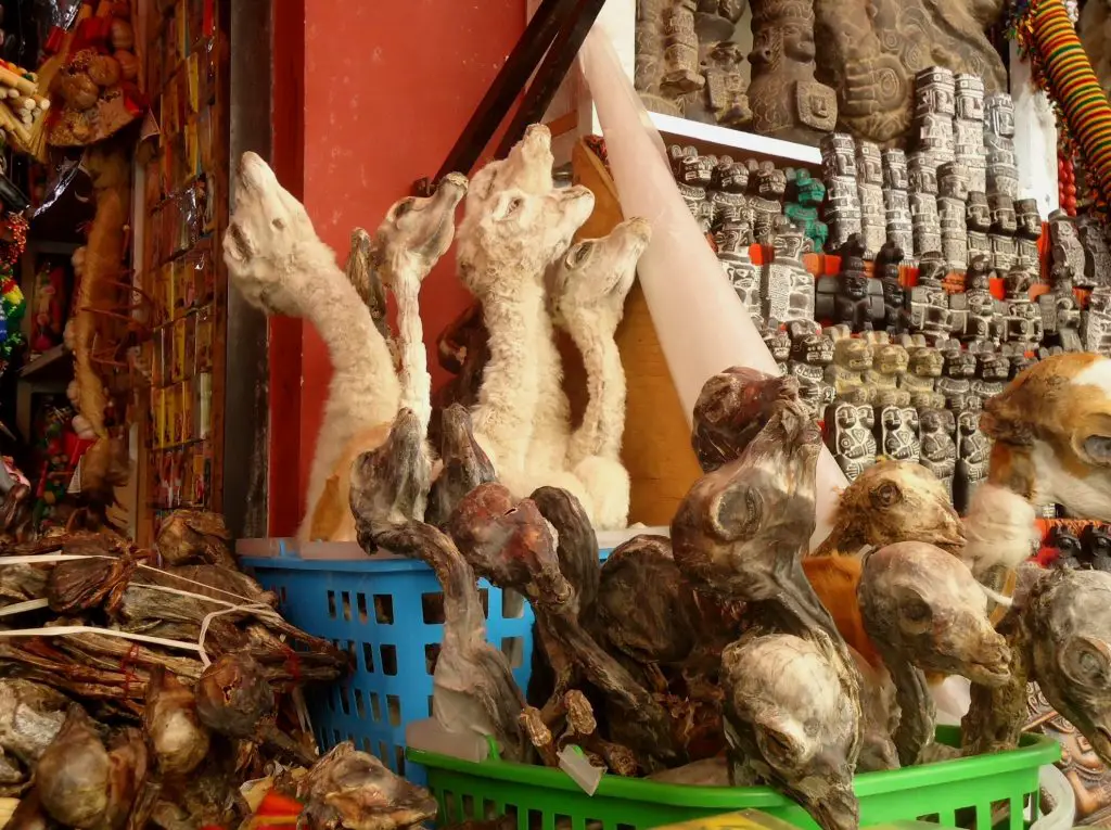 A la découverte du marché des sorcières à La Paz, en Bolivie