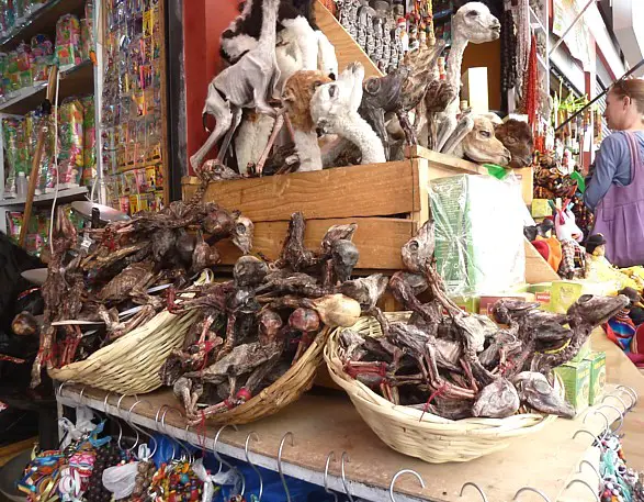 Découvrez le marché des sorcières à La Paz, en Bolivie