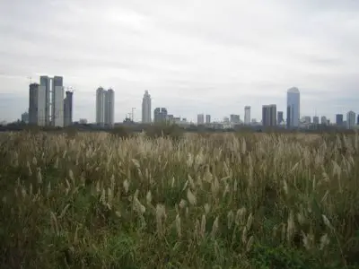 Réserve écologique de Buenos Aires : Découvrez la fabuleuse réserve écologique de Buenos Aires
