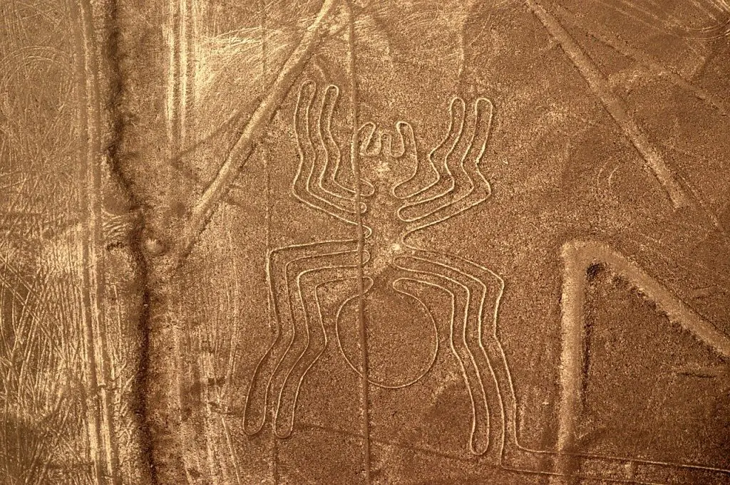 les géoglyphes de Nazca