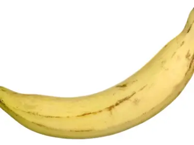 Bananes plantains au fromage : bananes plantains au fromage la spécialité équatorienne