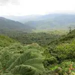La réserve nuageuse de Monteverde : Pour les vacances au Costa Rica