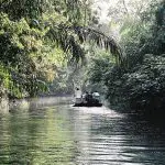 Le parc national de Tortuguero : Visiter cet incontournable pendant votre séjour au Costa Rica