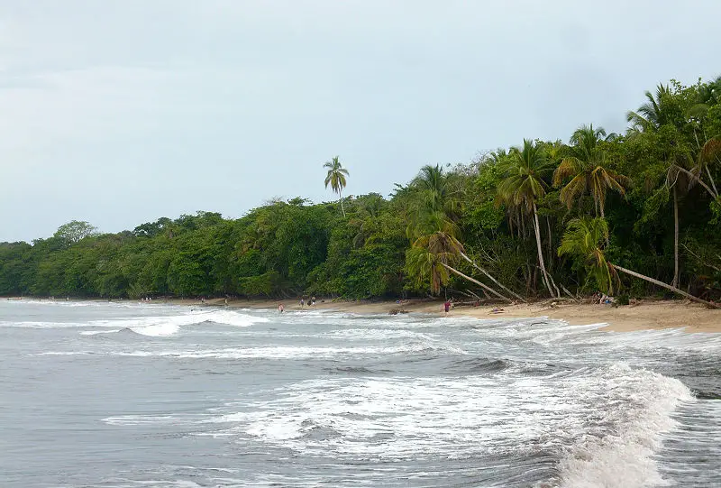 La Playa Cahuita Costa Rica